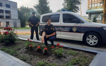 Policewomen planted orange flowers as a sign of solidarity with women and girls victims of violence